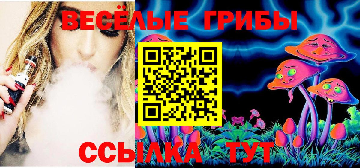 Псилоцибиновые грибы GOLDEN TEACHER  купить наркотики цена  Рузаевка  Вход с VPN  Псилоцибиновые грибы MAGIC MUSHROOMS 