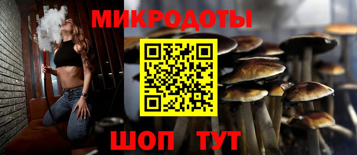 Галлюциногенные грибы Cubensis Рузаевка